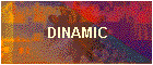 DINAMIC