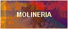 MOLINERIA